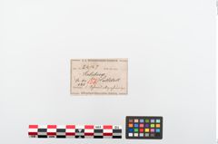 Etiketten zu Bronzegehänge (NHMW-PRAE-024147)